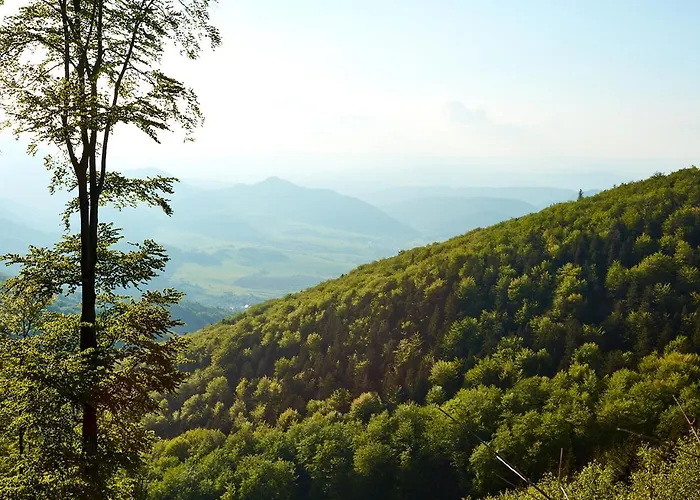 Penzion Pod Strazovom Pruzina
